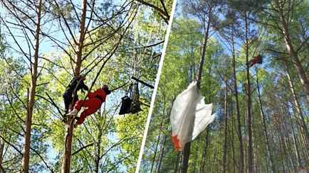 Спасатели показали, как снимали застрявшую на дереве на высоте 12 метров парашютистку под Малоритой