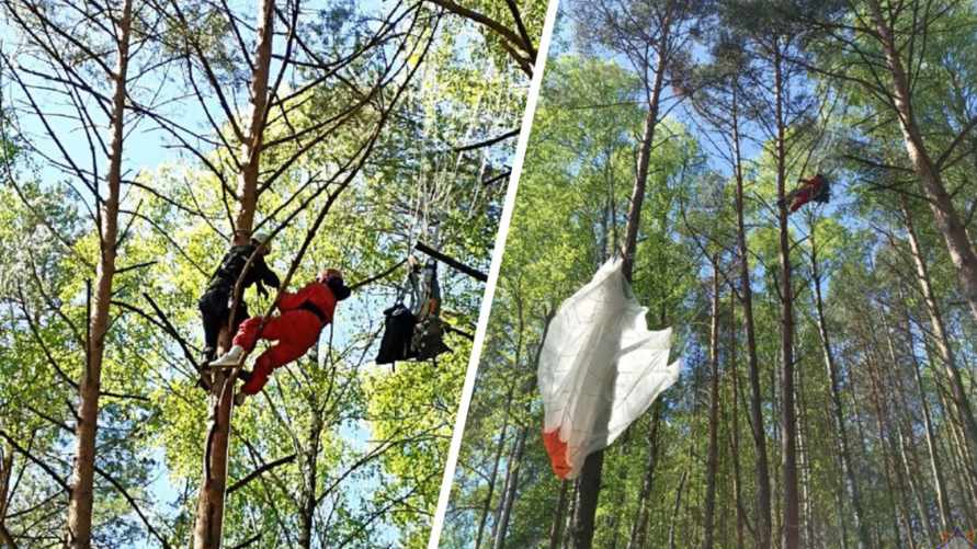 Спасатели показали, как снимали застрявшую на дереве на высоте 12 метров парашютистку под Малоритой