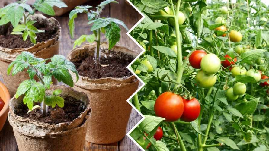 Фото иллюстрационное