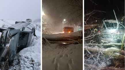 Десятки поваленных деревьев и машины в кювете. МЧС и энергетики рассказали о последствиях апрельских снегопадов