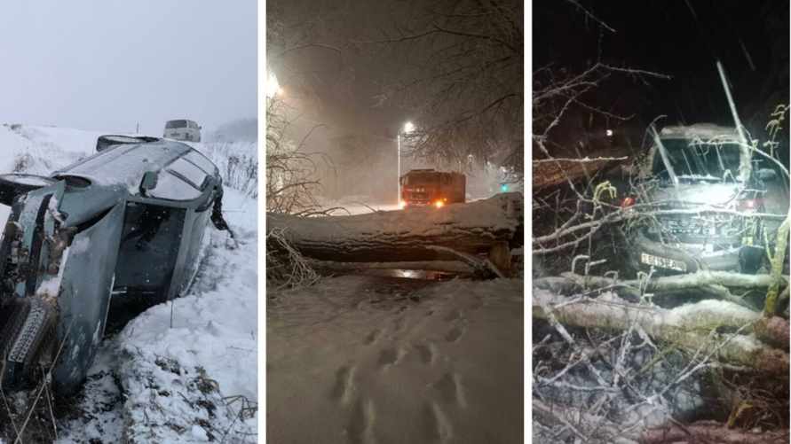 Десятки поваленных деревьев и машины в кювете. МЧС и энергетики рассказали о последствиях апрельских снегопадов