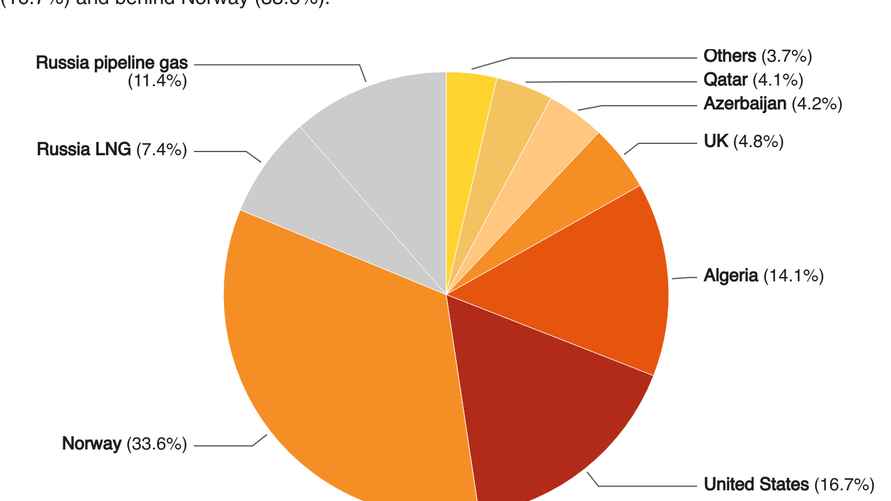 Поставщики газа в ЕС по итогам 2024 года