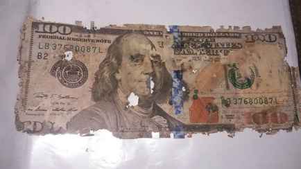 Ещё один банк решил принимать у белорусов повреждённые доллары. Какая комиссия?