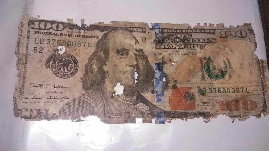 Ещё один банк решил принимать у белорусов повреждённые доллары. Какая комиссия?