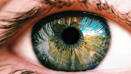 Учёные объявили об открытии нового цвета, который может видеть глаз человека. Как назвали?