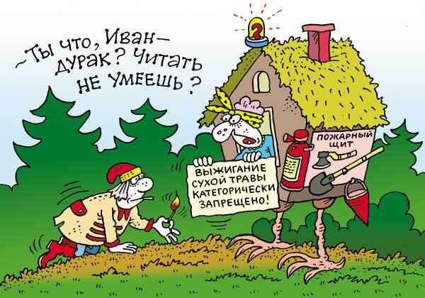МЧС Беларуси показало на примере Rammstein и Киркорова, почему нельзя сжигать траву