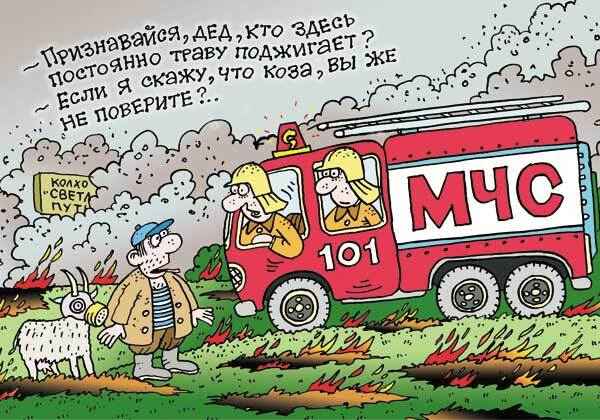 МЧС Беларуси показало на примере Rammstein и Киркорова, почему нельзя сжигать траву