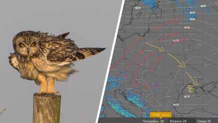 В 4 областях Беларуси объявили оранжевый уровень опасности, но уже не из-за заморозков