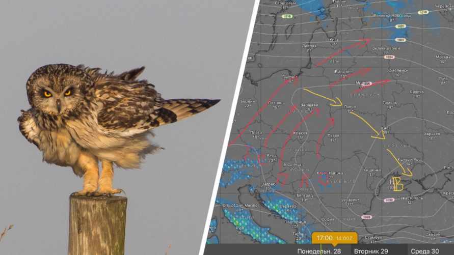 В 4 областях Беларуси объявили оранжевый уровень опасности, но уже не из-за заморозков