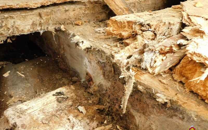 Фото: sudexpert.gov.by