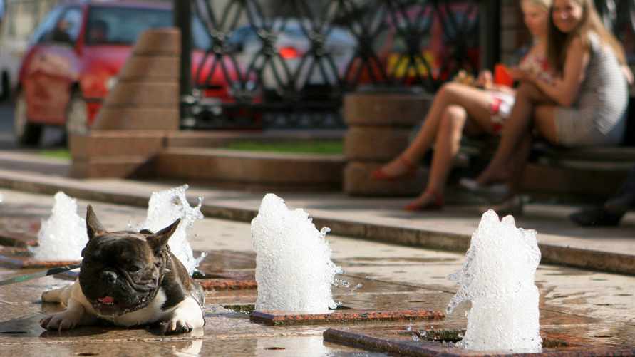 Фото иллюстративное: 1prof.by