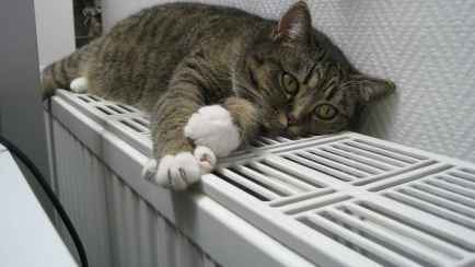 В одном из областных центров Беларуси объявили дату отключения отопления