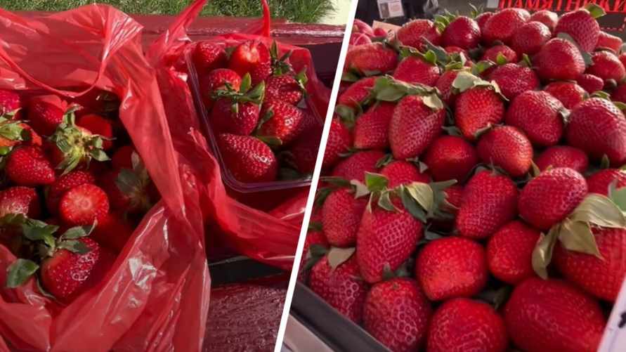"Вчера стартовал сезон" - Белорус показал, где купить клубнику уже по 12 рублей. Подписчики нашли еще дешевле