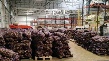 Гомельские таможенники задержали двух россиян за попытку вывезти из Беларуси картошку