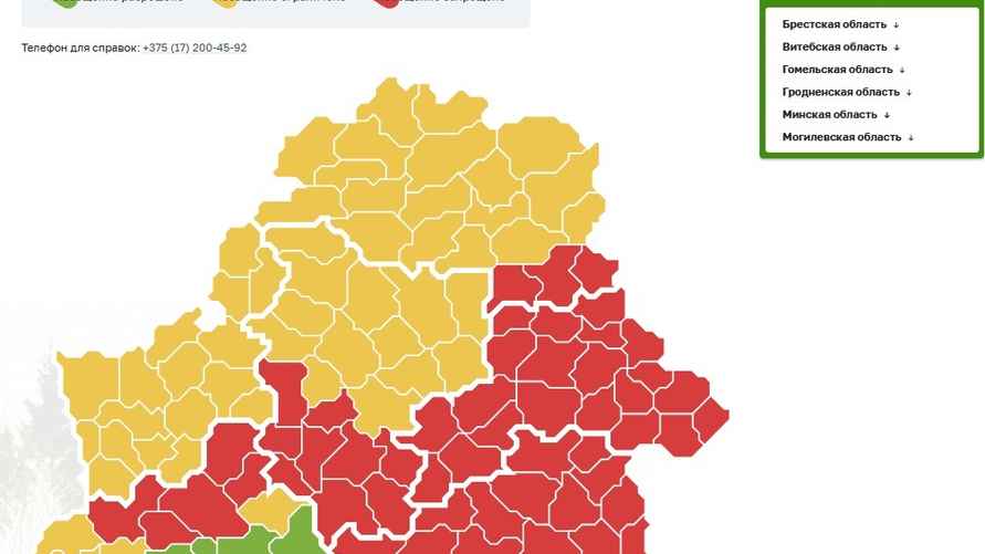Карта запретов и ограничений на посещение лесов, данные Минлесхоза на 8:00 28 апреля