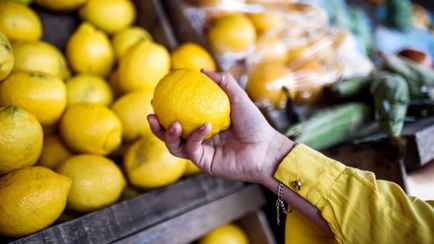Лимонная лихорадка отменяется. Запрет Турции на экспорт цитрусов не продержался и дня