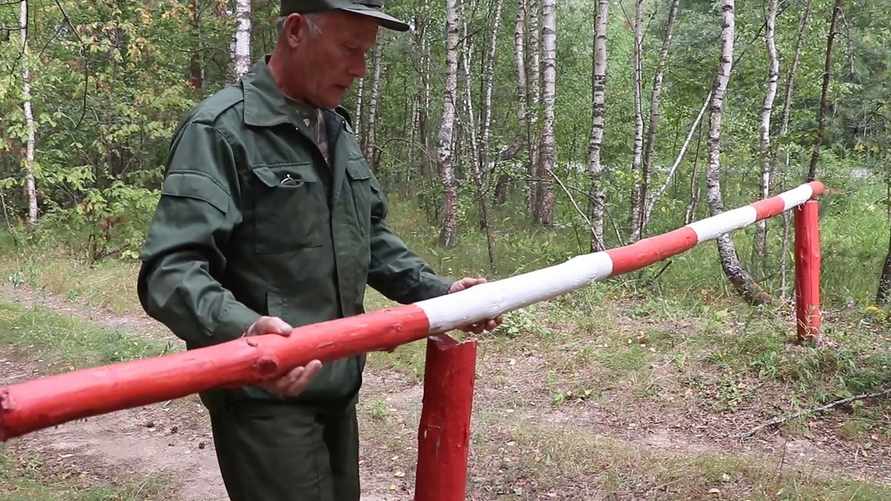 Фото иллюстрационное