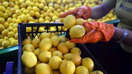Турция прекратила поставлять лимоны в Беларусь. Что будет с ценами?