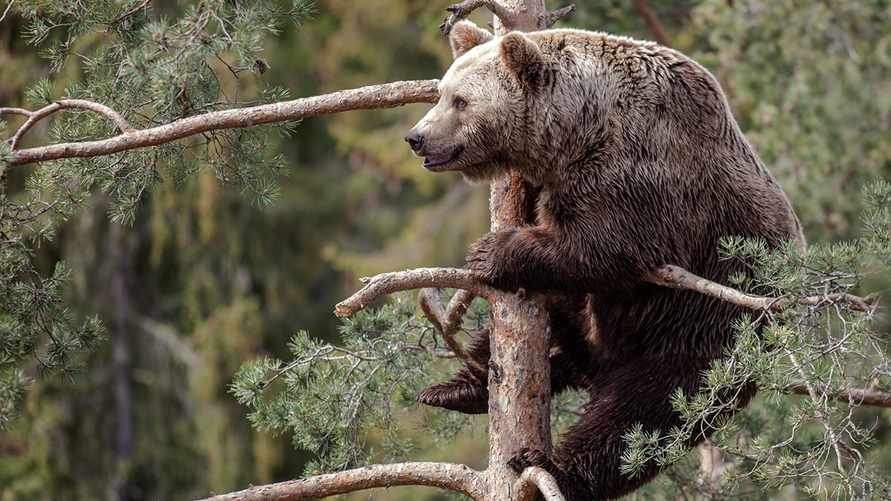 Фото иллюстрационное