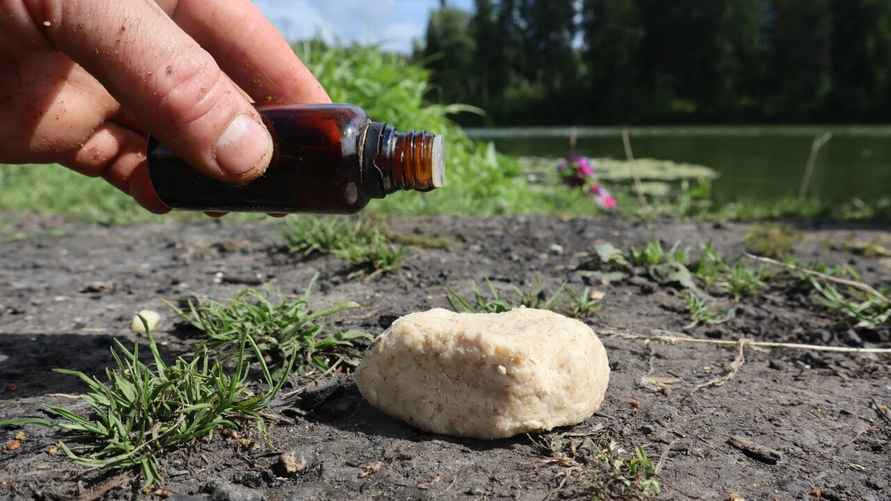 Фото иллюстрационное