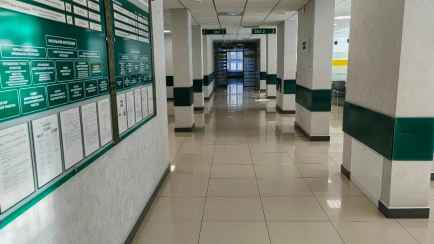 Что ищет налоговая на сайтах и в соцсетях самозанятых белорусов? Рассказали в банке