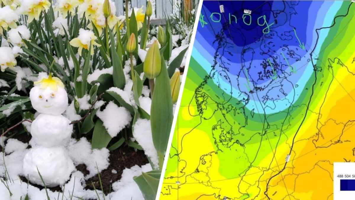 Заморозки до -5°С и мокрый снег. Синоптики предупредили белорусов о волне холодного воздуха из приполярья