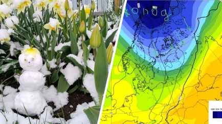 Заморозки до -5°С и мокрый снег. Синоптики предупредили белорусов о волне холодного воздуха из приполярья