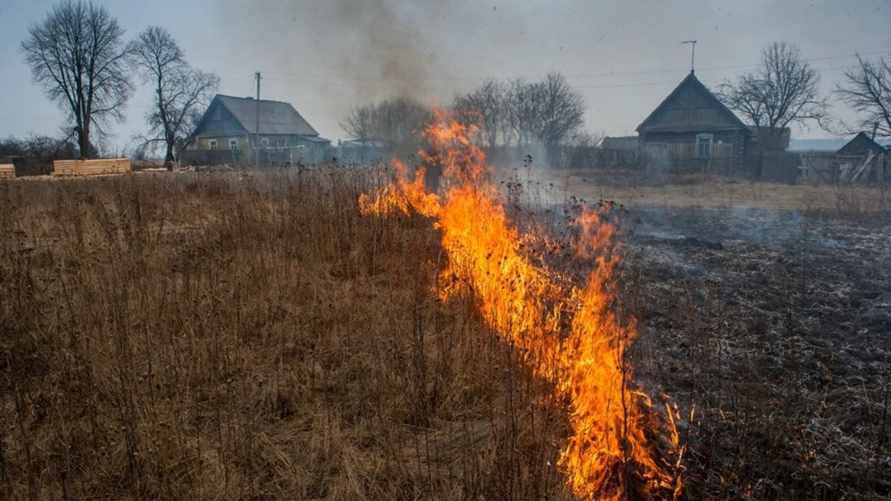 Фото иллюстрационное