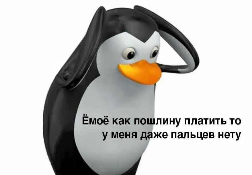 У Трампа объяснили, почему ввели санкции против пингвинов. Но в соцсетях не поверили?