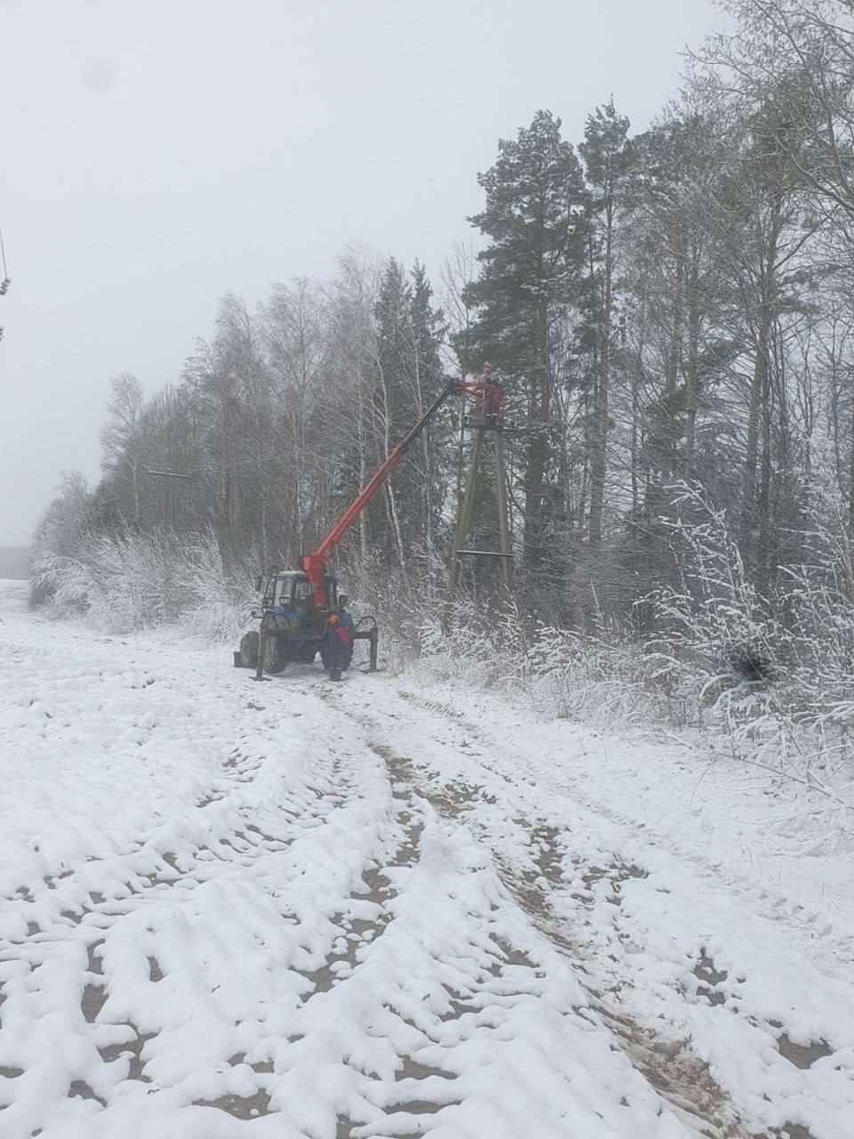 Десятки поваленных деревьев и машины в кювете. МЧС и энергетики рассказали о последствиях апрельских снегопадов