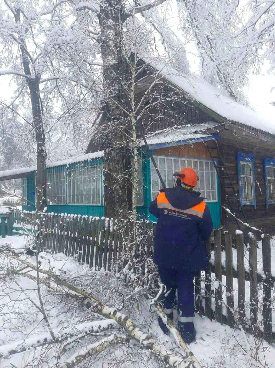 Десятки поваленных деревьев и машины в кювете. МЧС и энергетики рассказали о последствиях апрельских снегопадов