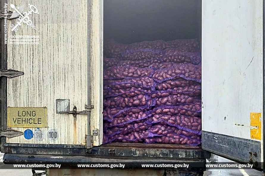 Гомельские таможенники задержали двух россиян за попытку вывезти из Беларуси картошку