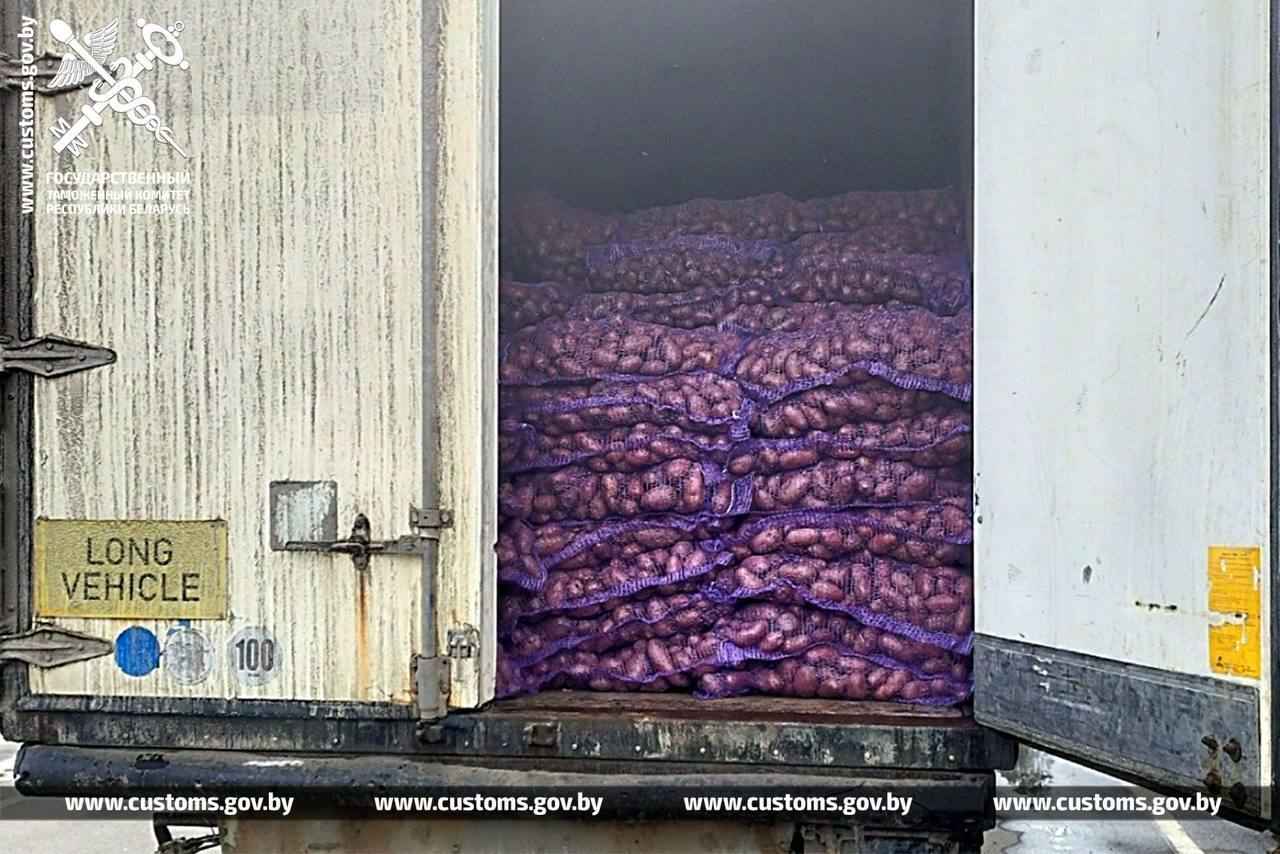 Гомельские таможенники задержали двух россиян за попытку вывезти из Беларуси картошку