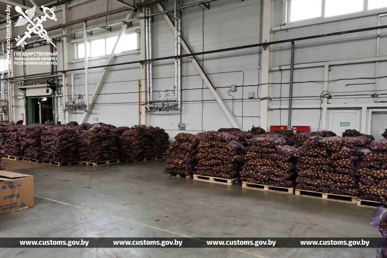 Гомельские таможенники задержали двух россиян за попытку вывезти из Беларуси картошку