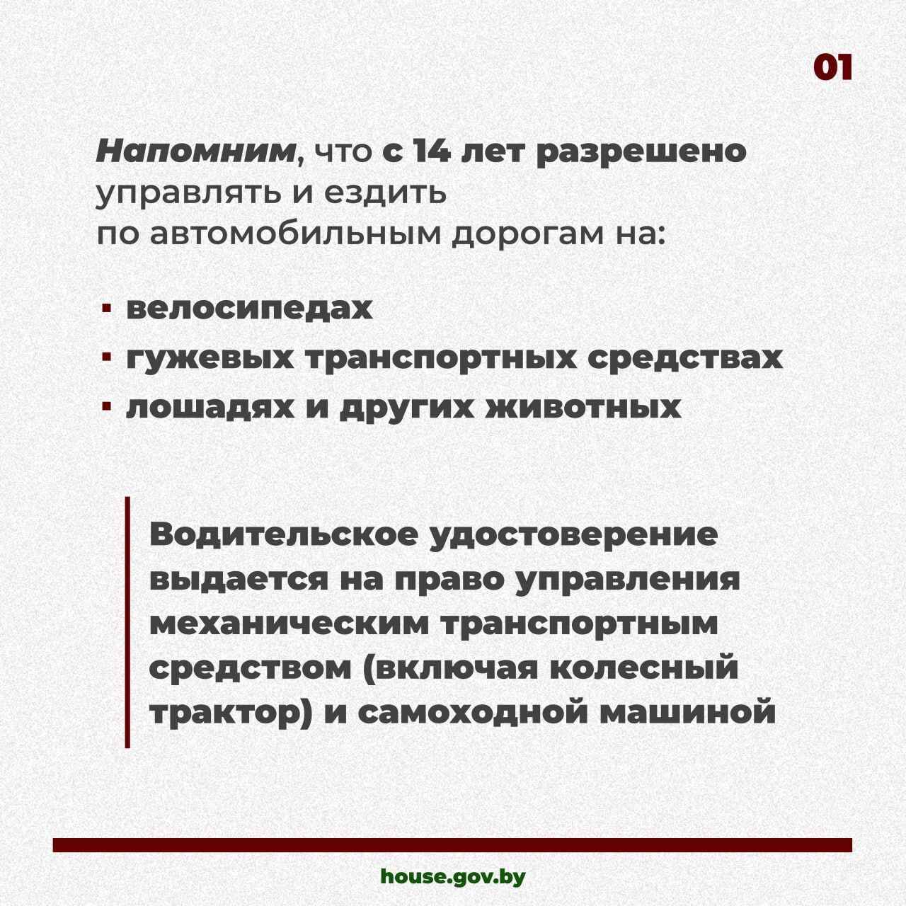 В Беларуси вступили в силу изменения в закон О дорожном движении. О чём нужно знать водителям?