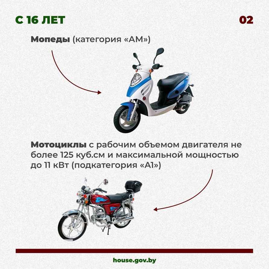 В Беларуси вступили в силу изменения в закон О дорожном движении. О чём нужно знать водителям?