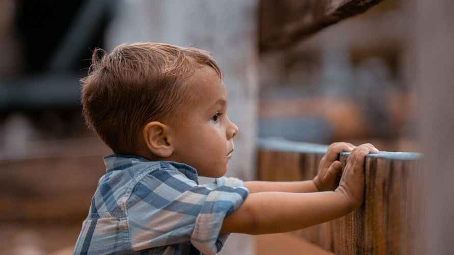 Фото иллюстрационное/pixabay.com