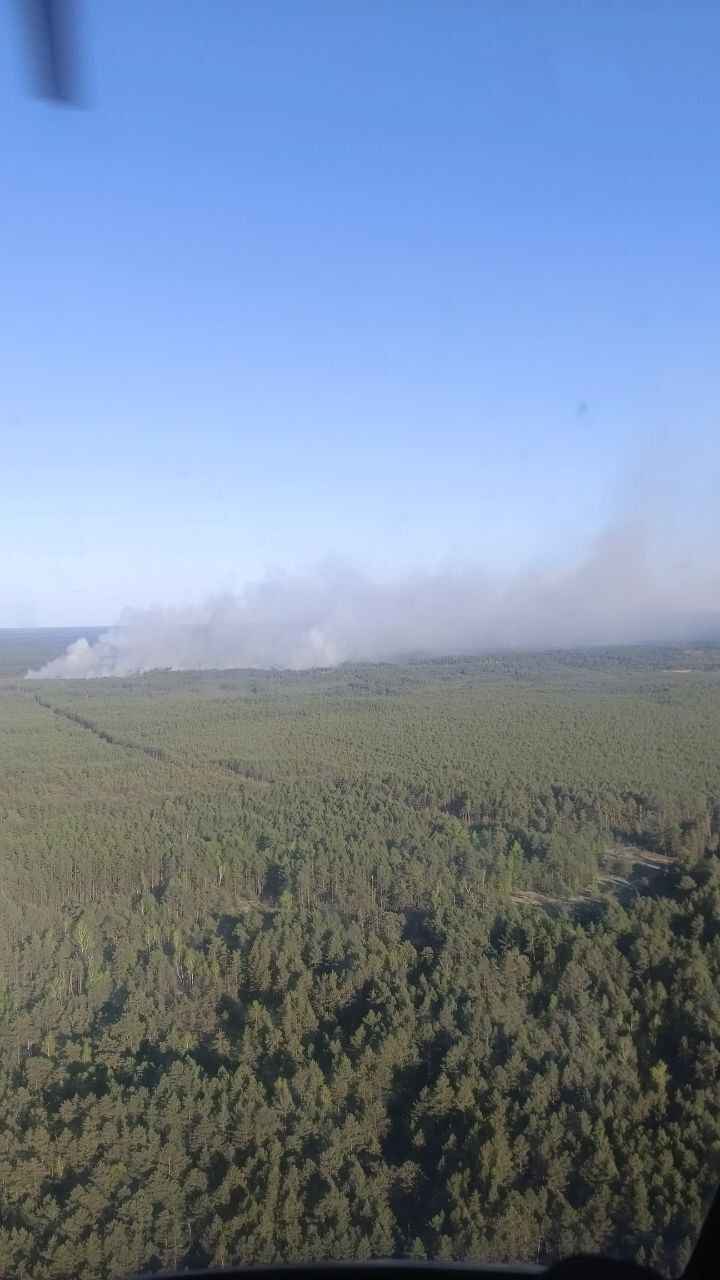 «Так просто не бывает» - Глава Минлесхоза усмотрел поджог в крупном пожаре на границе Беларуси с Украиной