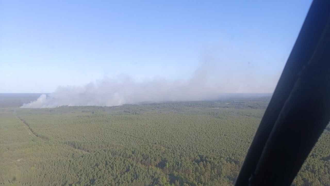 «Так просто не бывает» - Глава Минлесхоза усмотрел поджог в крупном пожаре на границе Беларуси с Украиной
