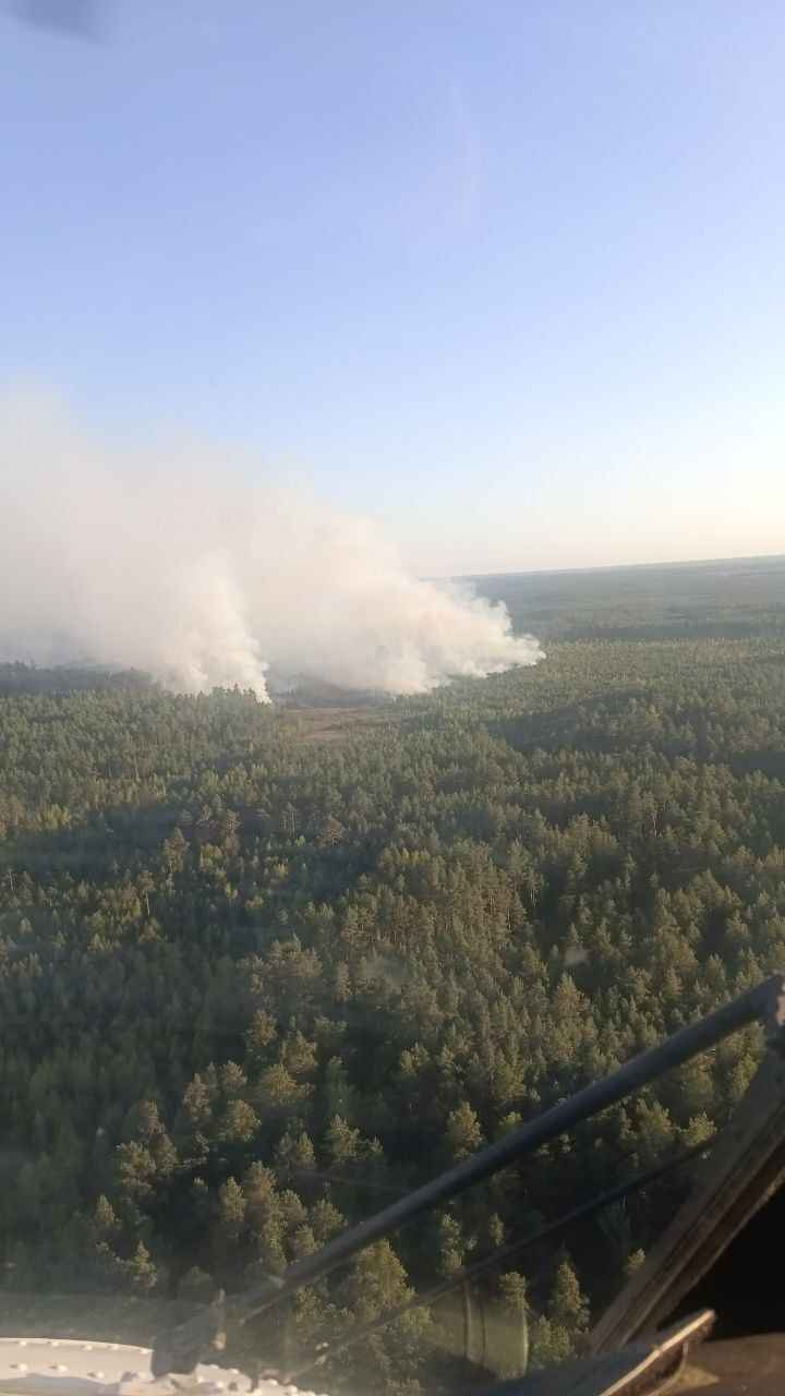 «Так просто не бывает» - Глава Минлесхоза усмотрел поджог в крупном пожаре на границе Беларуси с Украиной
