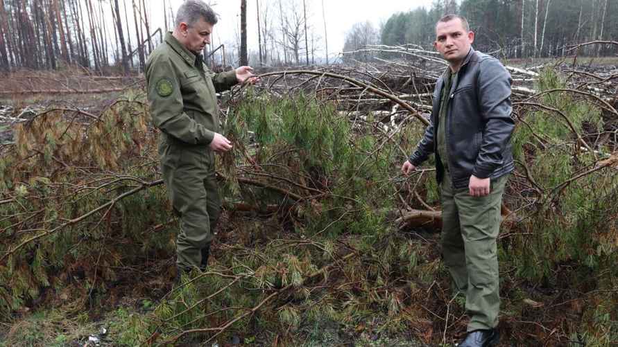 Фото: Минлесхоз Беларуси