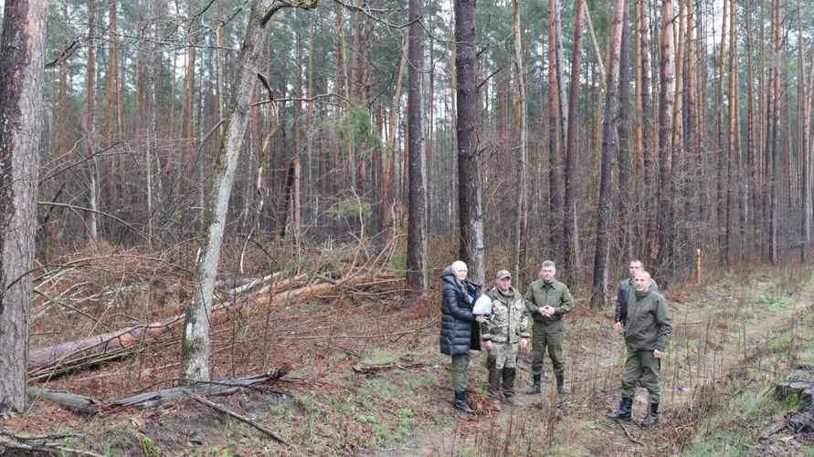 Фото: Минлесхоз Беларуси