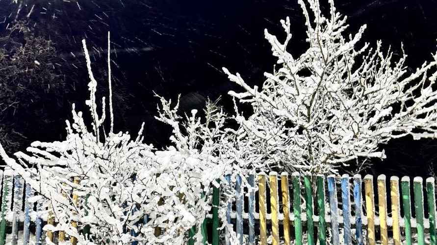 Фото: Telegram-канал "Метеовайб"