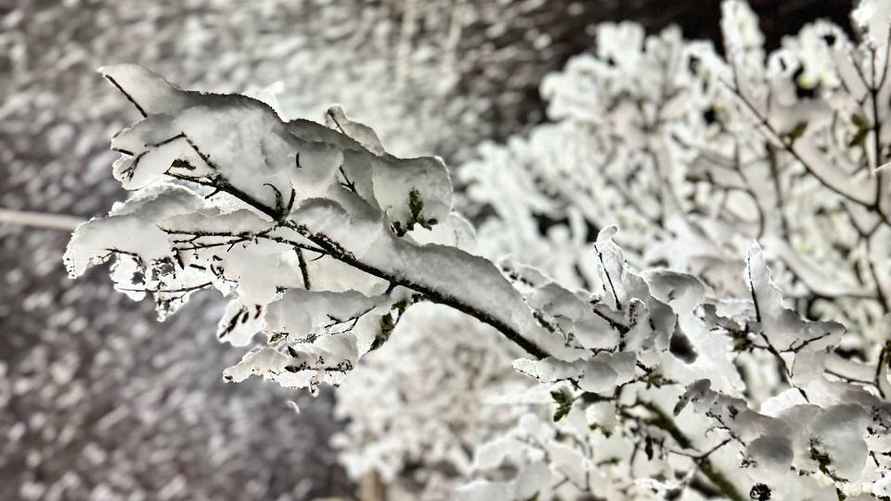 Фото: Telegram-канал "Метеовайб"