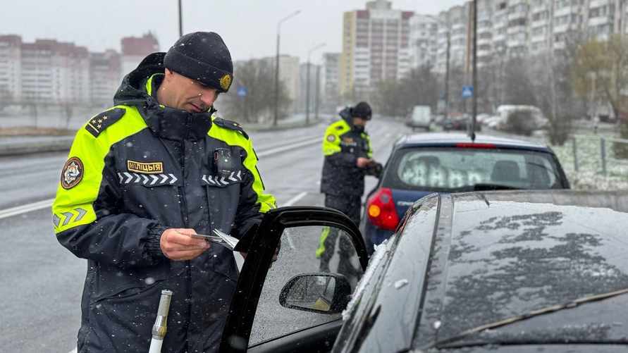 Фото: Telegram-канал "Сожский форпост"