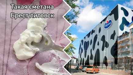«Как из пластилина» —  Белоруска пожаловалась в TikTok на сметану от «Савушкин». Что ответили нам на предприятии?
