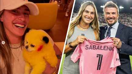 Подарок от Дэвида Бекхэма и шквал хейта. Почему Соболенко ругают за фото с собакой?