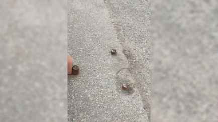 «Болтяры торчат» — Минчанин показал, как в одном из дворов «борются с парковкой на бордюрах». Ему рассказали правду