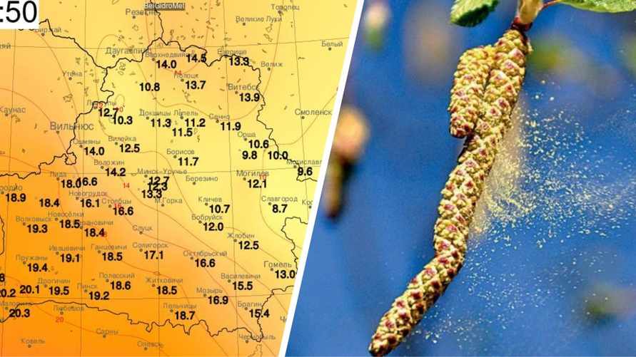 Судя по карте Белгидромета, заветные +20°C на себе уже почувствовали в воскресенье жители Брестчины