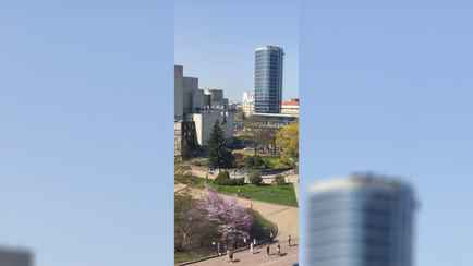 «Редкое явление» — В Минлесхозе показали, чем любуются из окна «в свободные минутки». Где ещё можно?